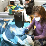 quilting class